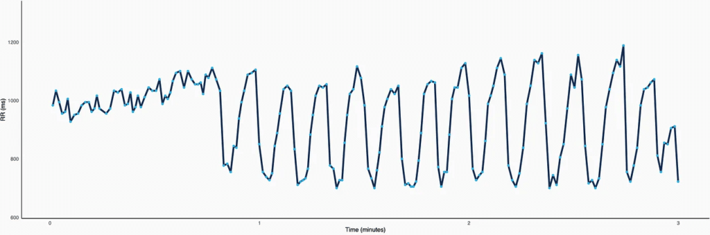  diferenças de batimento a batimento ao longo do tempo (chamados intervalos RR) primeiro durante a respiração superficial (pequenas mudanças de batimento a batimento) e depois durante a respiração profunda (grandes oscilações)