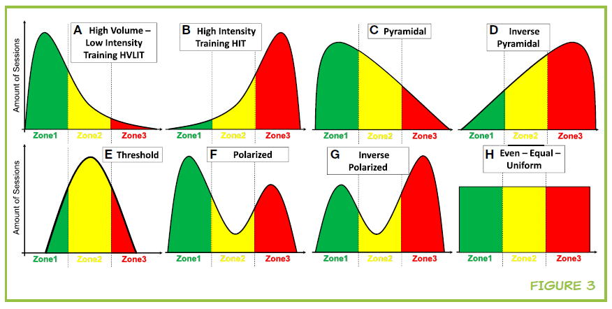 Modelos de distribuição da intensidade do treinamento.